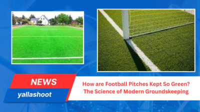 How are Football Pitches Kept So Green? The Science of Modern Groundskeeping 1 How are Football Pitches Kept So Green